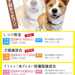 AWA総社犬ねこ譲渡会