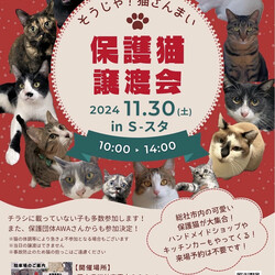 そうじゃ！猫ざんまい