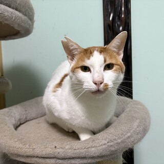 優しい性格の男の子