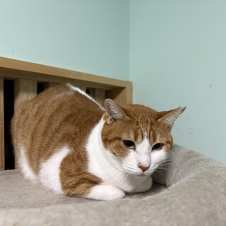 優しい性格の男の子