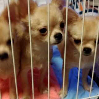 6か月のベイビーちゃんです！