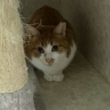 優しい性格の男の子