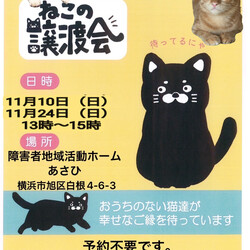 保護猫譲渡会in旭区 サムネイル1