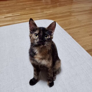 11/10幕張ෆ⃛もりもり成長中ෆ⃛もずくちゃん