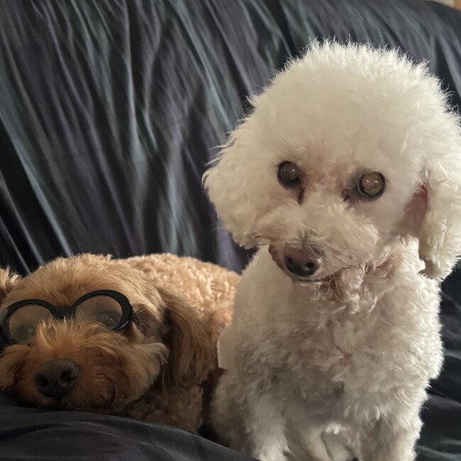 mitto17のカバー写真