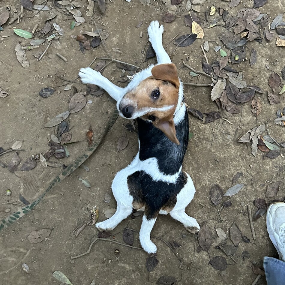 ちゃいのカバー写真