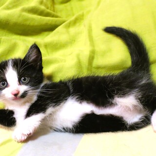 心機一転の改名『おーちゃん』