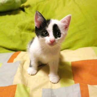 心機一転の改名『つぶちゃん』