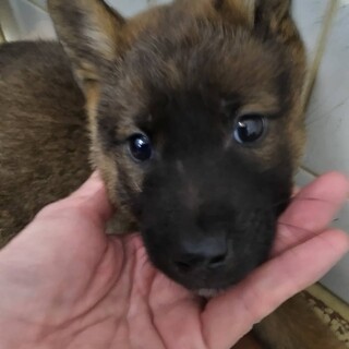 緊急！11/7　朝9時（時間厳守）