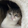 真生（まう）：とにかくちぃ兄貴が好き！いつも隣に。