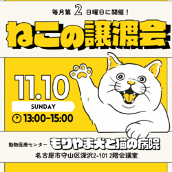 保護猫譲渡会 in 名古屋