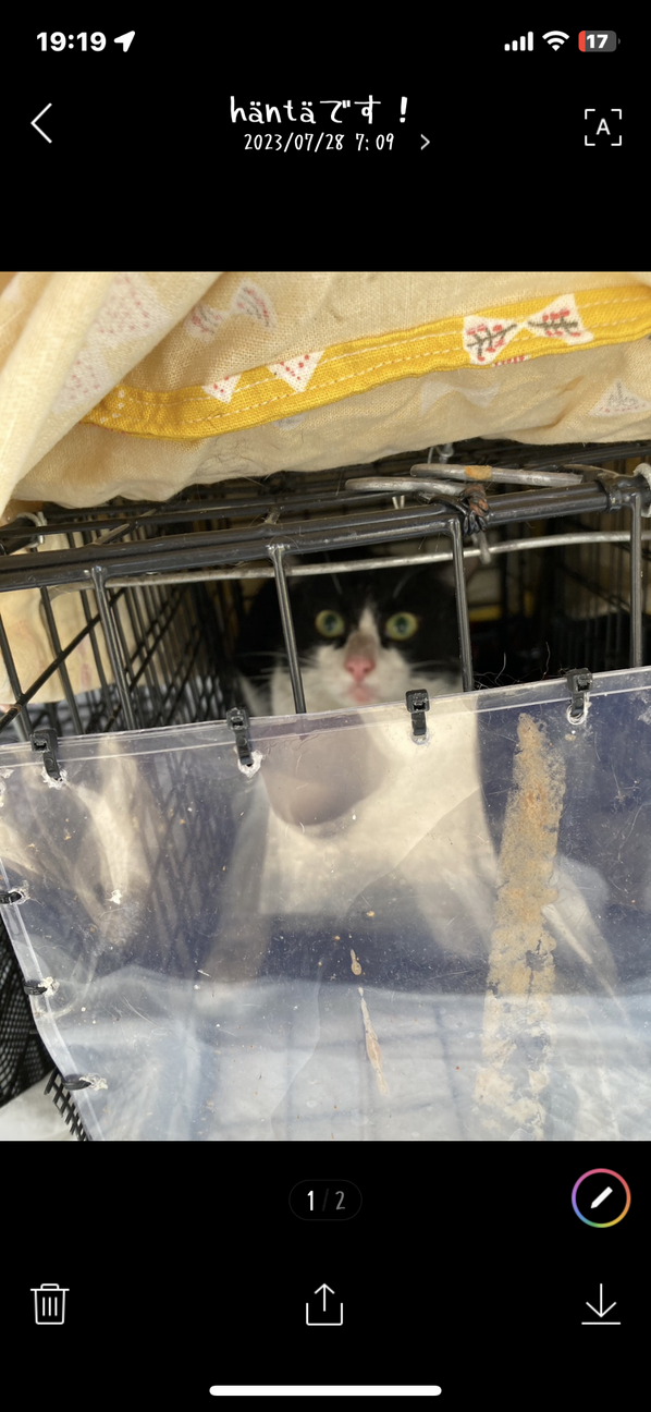 はちわれ男子 サムネイル6