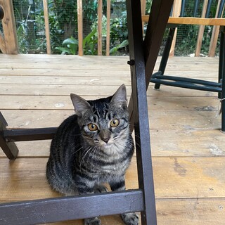 元気っぱい、甘えん坊のモン君