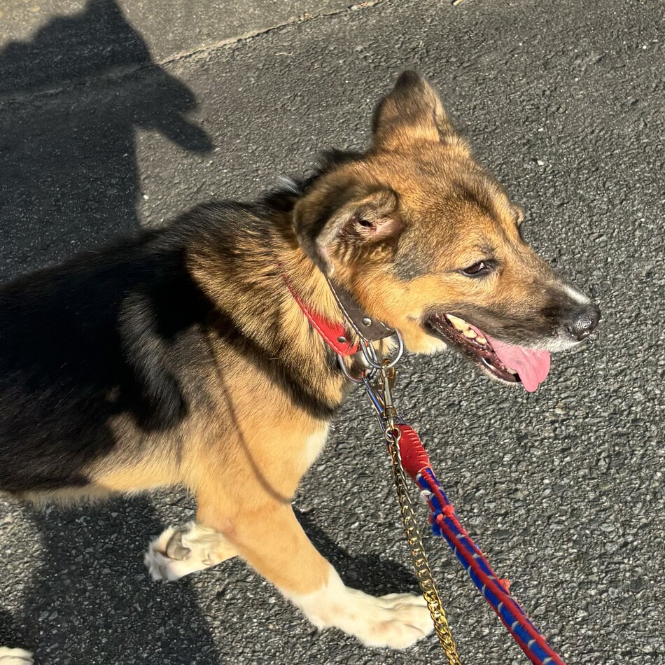 ひろしのカバー写真