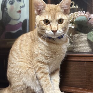 素敵な里親さんが見つかりました。