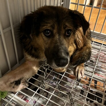 洗われてしまったひろし君