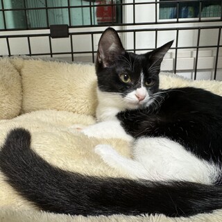 なでなで大好き⭐︎マリーちゃん