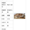 殺処分対象❗️収容期限11/13迄❗️延長なし サムネイル6