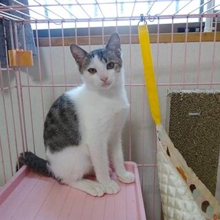 ヤンチャ！だけど可愛い男の子