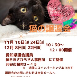 刈谷地域ねこの会譲渡会