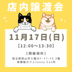 犬と猫の店内譲渡会【入場料無料⭐️予約不要】