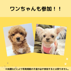 犬と猫の店内譲渡会【入場料無料⭐️予約不要】 サムネイル2