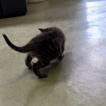 の写真