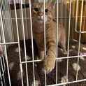 大切に育ててくれる方
