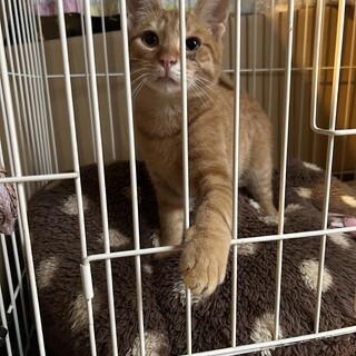 大切に育ててくれる方