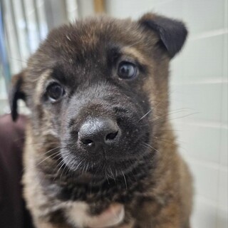 11月15日（金）朝9時　（時間厳守）