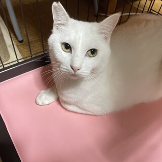 人間好き★YUKIOさん