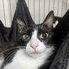とっっっても美人なきょうこちゃん サムネイル5
