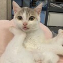とってもかわいい甘えん坊さん