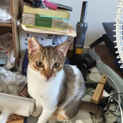 天と空　生後7ヶ月