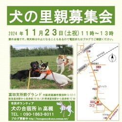 「犬の合宿所in高槻」の里親募集会