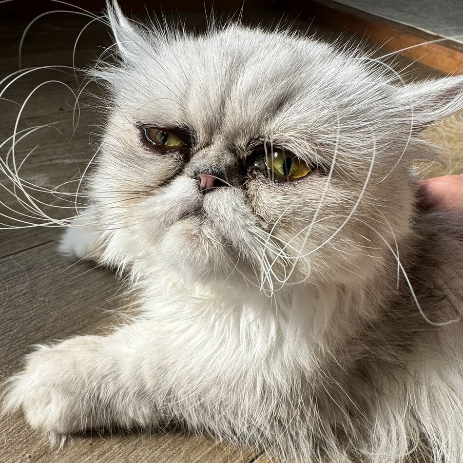 一番のカバー写真