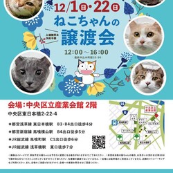 ねこざんまい譲渡会@東日本橋