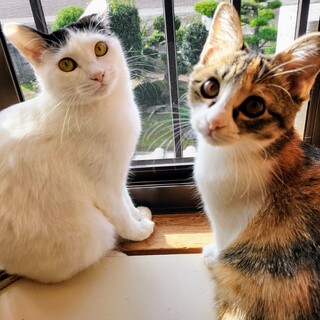 会ったらメロメロ♡のりたま親子