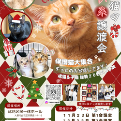 君と猫の赤い糸譲渡会