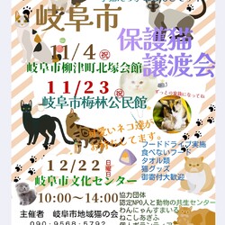 岐阜市保護猫譲渡会
