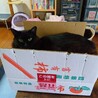 カズエちゃんの息子、遥くん サムネイル6