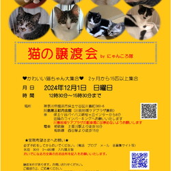 猫の譲渡会　by にゃんころ隊 　12/1