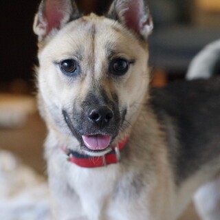 人がだいすき！甘えん坊の女の子