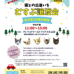 猫との出逢いをむすぶ譲渡会