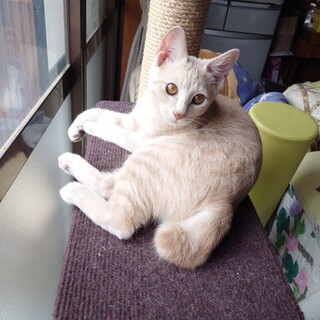 ひとりっ子のボクですが、明るく元気に育ってます。