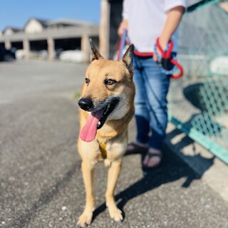 家族に迎えてください