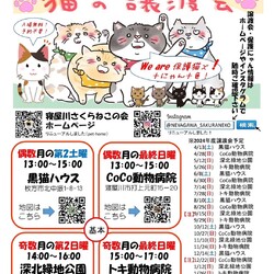 保護猫譲渡会@寝屋川 サムネイル1