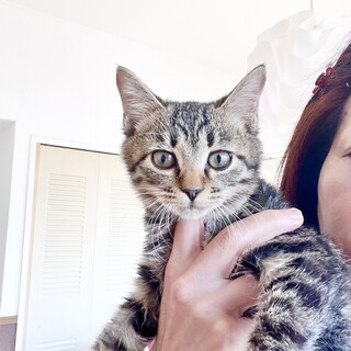 クリクリお目目のいたるくん