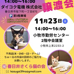保護猫の譲渡会in小牧
