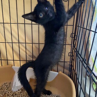 端和（たんわ）